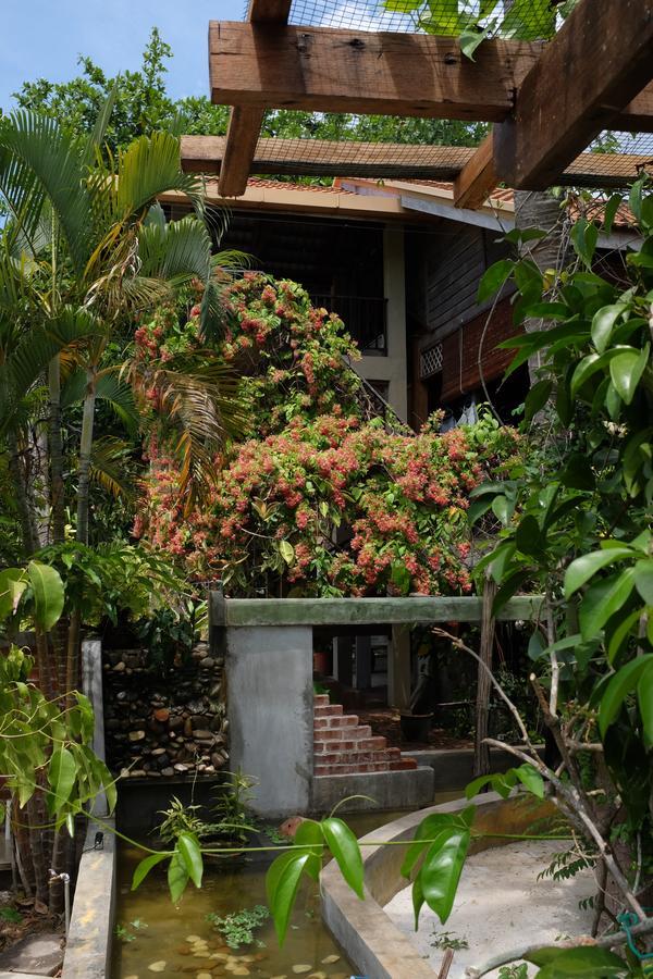 Panji Panji Tropical Wooden Vila