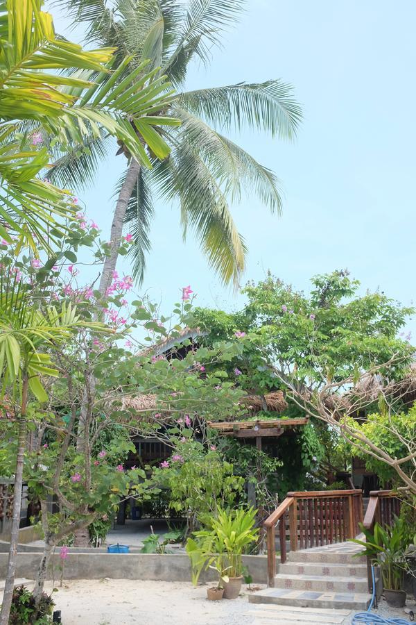 Panji Panji Tropical Wooden