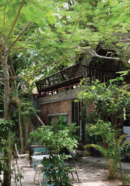 Panji Panji Tropical Wooden *